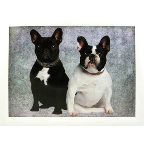 Knie dienblad met kussen eronder wit rand en decor twee honden ( zwart + wit )